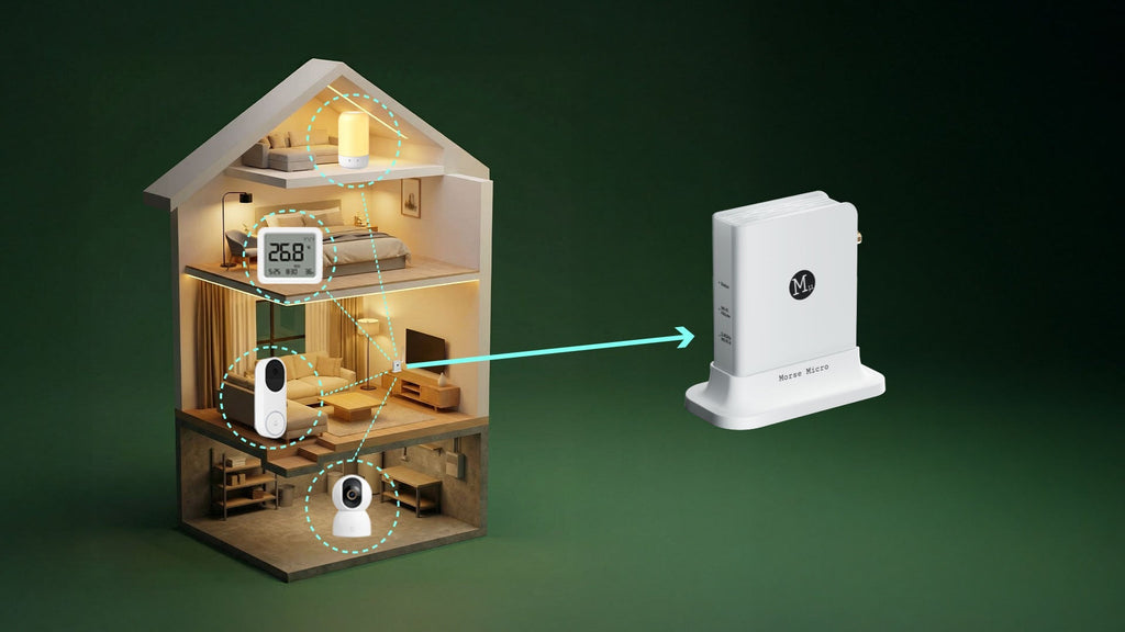 Signal & Steel OpenMANET HaLow Mesh Radio – Off - Grid Private Communications Node (915MHz Long - Range, Pre - Flashed) - SignalAndSteel